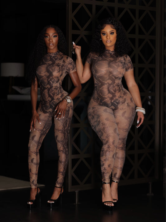 Sneaky Jumpsuit